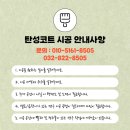 탄성코트 처음