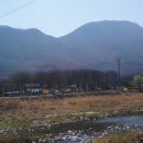 현창농장 이미지