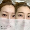 펄미에이트 이미지