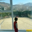 라고1618 이미지