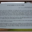 김지남 비갈 및 묘 이미지