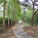 인동35길-10 이미지