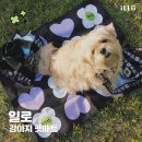 몽구PC | 강아지 산책매트 방수 일로 펫티켓매트