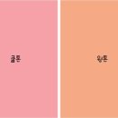 퍼스널컬러 네이버블로그