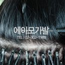 에이모가발 이미지