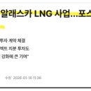 비스타인터내셔널