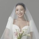 레돌런트