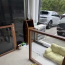 멍이댕이 펫미용 이미지