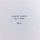 타코퀸 이미지
