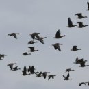 일원1-102 이미지