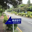 돈내코로95 | 제주 돈내코 원앙폭포, 시원함의 끝… 직접 가보니 놀란 후기 🧊🏞️