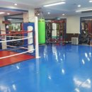 에너자이저 복싱 이미지