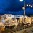 골든비치 | 태안 이글루돔 바베큐 무한리필 할 수 있는 골든비치펜션 내돈내산 후기