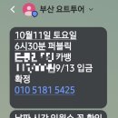 개좋다냥 | 부산 광안리 M 드론쇼 명당은 바로 요트 위! (요트 가격, 10월 일정, 주차 꿀팁 총정리)