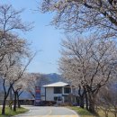 부리면사무소 이미지