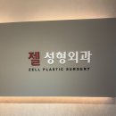 젤성형외과의원 이미지