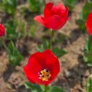 마음 메디컬 복지용구 이미지