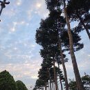 황성공원 실내체육관 | 황성문화공원 맨발둘레길(1.4Km,30분)을 맨발로 걷다.