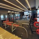 G1 PT SMART GYM | 김포 PT 걸포동 헬스 G1PT #애플 힙 #하체 운동 #코어 #전신 #하체 #힙업