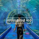 광양의 아트 뉴 웨이브 | 전남 여수 관광지 실내 가볼만한곳 아쿠아플라넷 주말 방문 후기