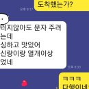 양양 새콤달콤 싱싱한 대석자두 할인판매 해요 이미지