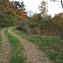 별무리 민박 이미지