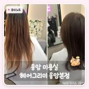 응암역 미용실 헤어그리미 응암본점 | 머리숱 없어도 옆볼륨 살아나는 커트, 수지 디자이너님