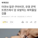 아큐브·알콘·쿠퍼비전, 유명 콘택트렌즈에서 암 유발하는 화학물질 검출 이미지