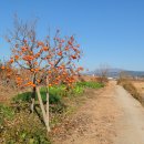 부적면사무소 이미지