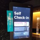 호텔미즈 | 파주 신세계 프리미엄 아울렛 근처 숙소 호텔미즈 내돈내산