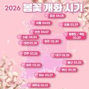 3월 12일(목) 어제 코미디언 '김형곤'의 20주기로, 그와 관련된 이야기 이미지