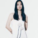 느린거름 이미지