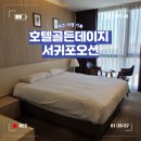 오션빌딩 | [제주도] 서귀포 가성비 호텔 추천! 호텔골든데이지 서귀포오션 솔직후기(+ 위치,주차)