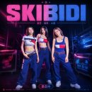 소녀시대-효리수 카카오 검색결과