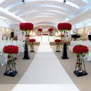 에벌루션(주) 이미지