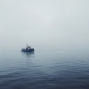 돈바다 이미지
