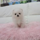 오목교역 6번출구 이미지