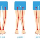 넘버원척추골반교정센터 이미지