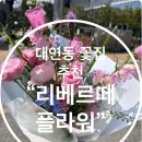 리베르떼플라워