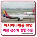 <b>아시아나항공</b> 여름 결항 주의.. 조종사 파업 지속 가능성 높아