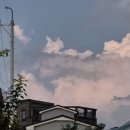 용성북로(유성-148) | 8월 정산 일기