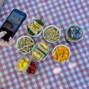 한밭과일 | [대전 피크닉] 한밭수목원 : 대전피크닉명소 다녀온 실시간 솔직 후기 + 꿀팁
