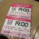 세류1 42-40 | 2025 부산 나이트워크 참가 및 완주 후기 (42km) :: 기념품 및 꿀팁