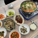태안 수선화펜션 내돈내산 후기, 갯벌체험 맛조개 잡는 법 알려주는 사장님!