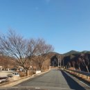 김삿갓면-41 이미지