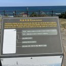 소망카랜드 네이버블로그