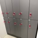 솔리드짐 PT 이미지