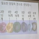 양말목 편백 안마봉 이미지