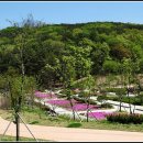 초막골생태공원 이미지