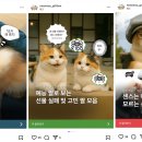 광고의모든것 - 동두천시 평화로2785번길 65 | 광고의모든것